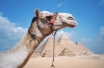 Egypte vakantie